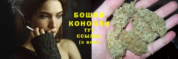 прущие грибы Абаза