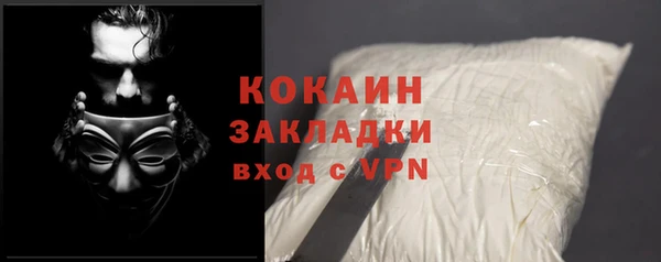 прущие грибы Абаза