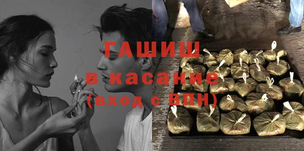 прущие грибы Абаза
