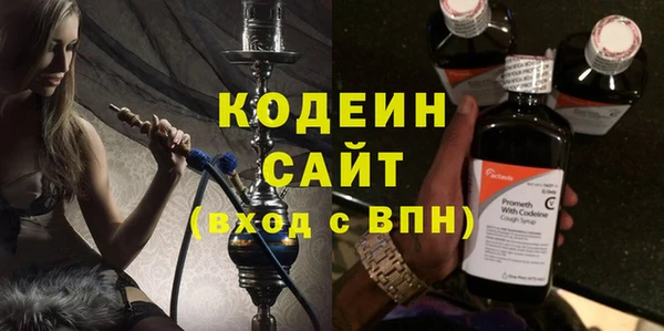 прущие грибы Абаза