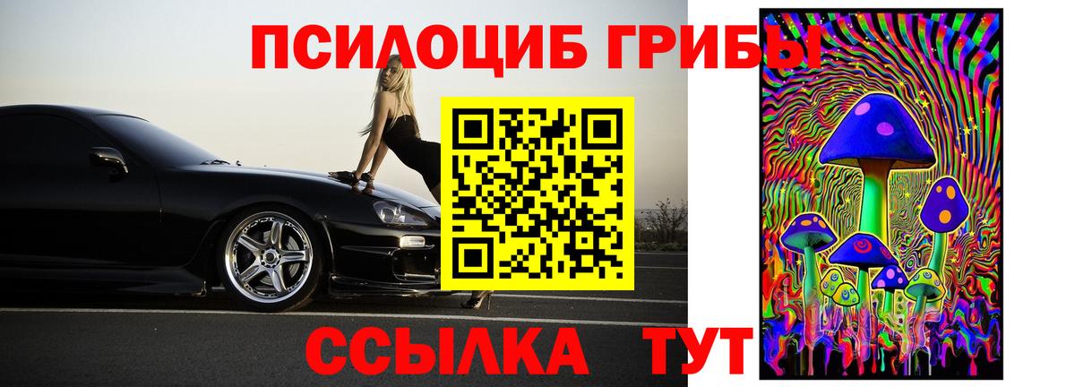 Галлюциногенные грибы Psilocybe Котлас