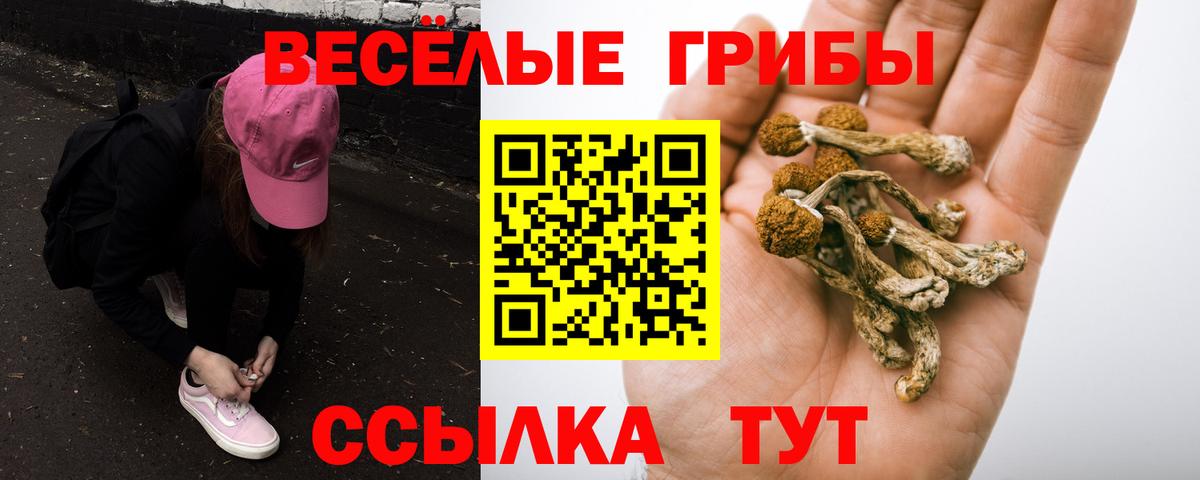 Котлас  Галлюциногенные грибы мухоморы  Вход с VPN  Псилоцибиновые грибы MAGIC MUSHROOMS 